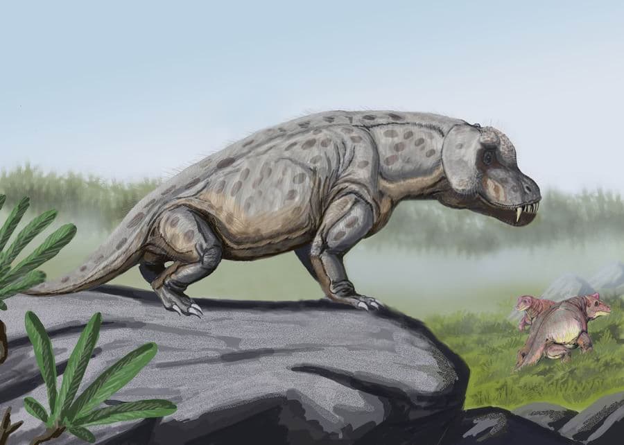 Life restoration of Anteosaurus magnificus in a middle Permian landscape