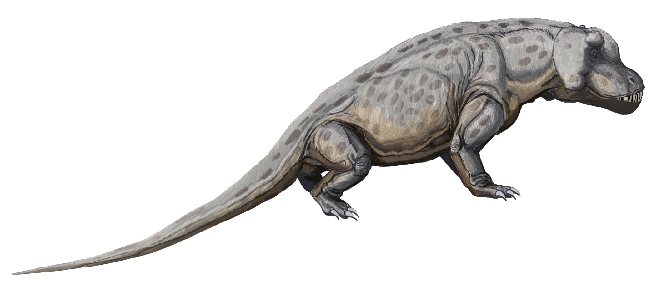 Anteosaurus
