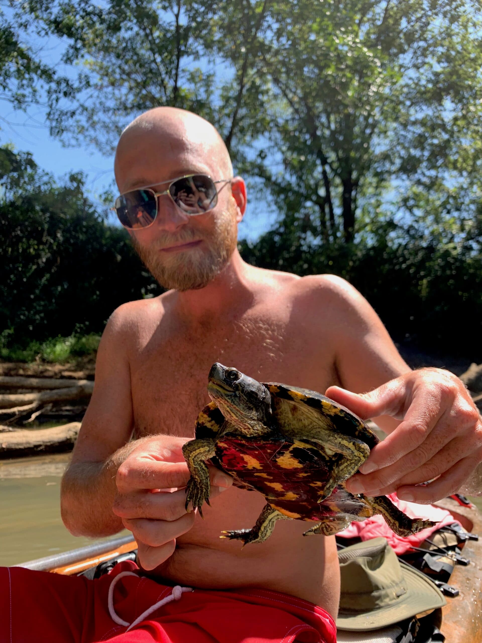 Turtle