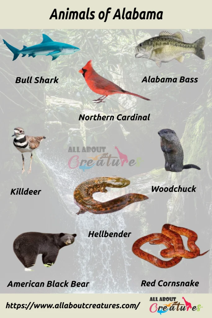animals in alabama