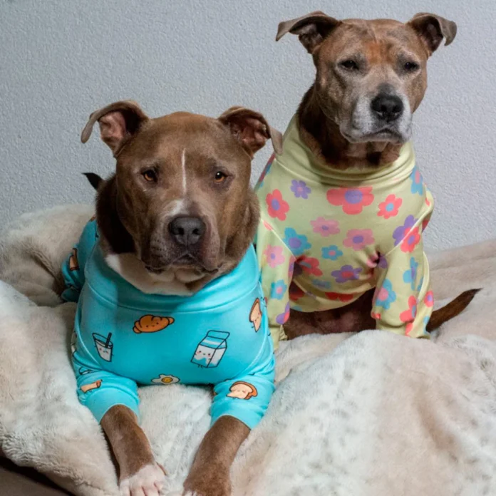 pibble